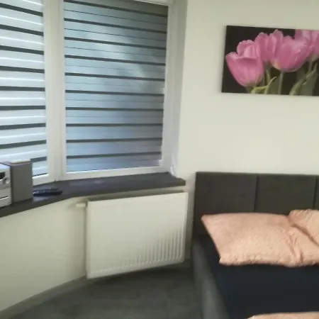 Apartment Viktoria