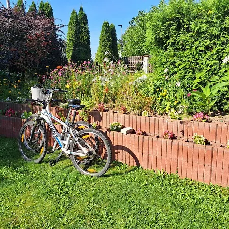 Viktoria דירה אלק