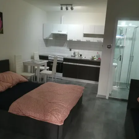 Apartment Viktoria